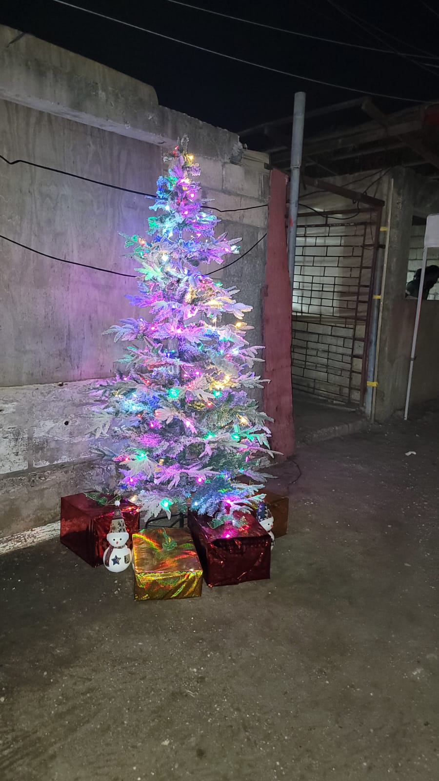 Christmas Tree - Illuminated at Night